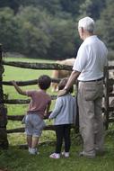 grandfather with grandchildren watches animals in the pen