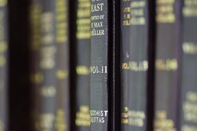 Books Library macro photo