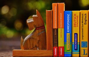 Bookends Dog wood and Books