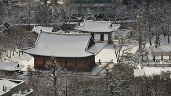 panorama of the forbidden city in the snow