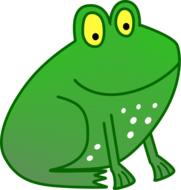 frog amphibian education kids drawing