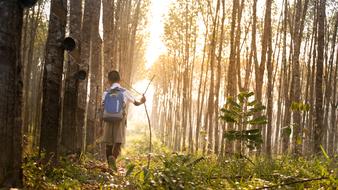 School Student in forest