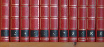 eleven volumes in red covers in row
