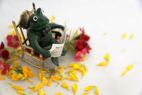 toy Frog Reads Newspaper