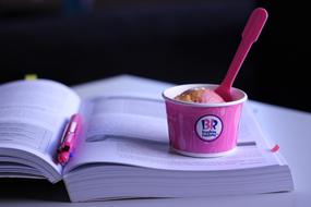 Ice Cream Book