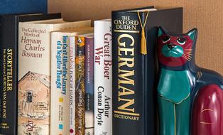 Bookshelf and wood cat