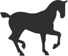 horse gallop equestrian drawing