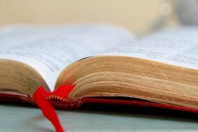 Bible Open