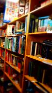 Books Wooden Shelves