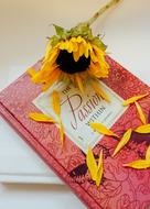 Book and yelow flowers