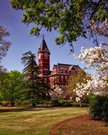 Hall Auburn University