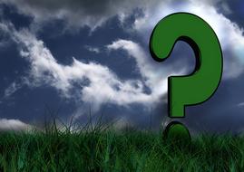 meadow grass green and question mark