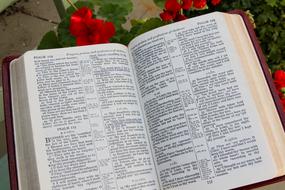 Bible Open text