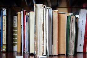 photo of books in the school library