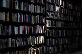 Books Library Shelves light