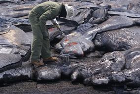 Lava Sampling Scientist person