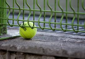 yellow green Tennis ball at fence