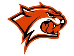 red wildcat head logo drawing