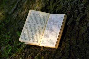 Book Read in Park