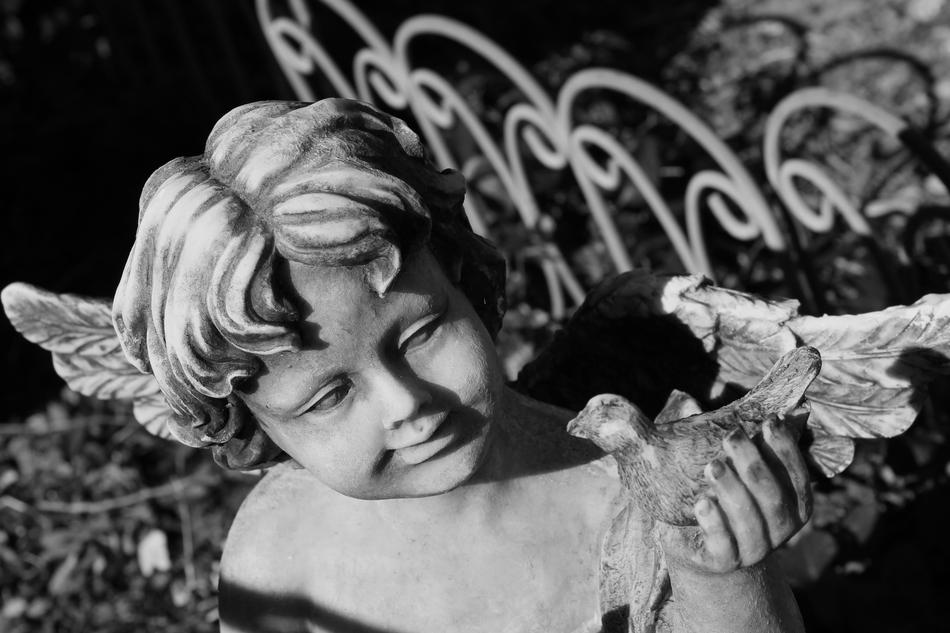 sculpture of an angel in the garden in monochrome blurred background