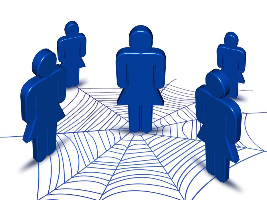 web network figures