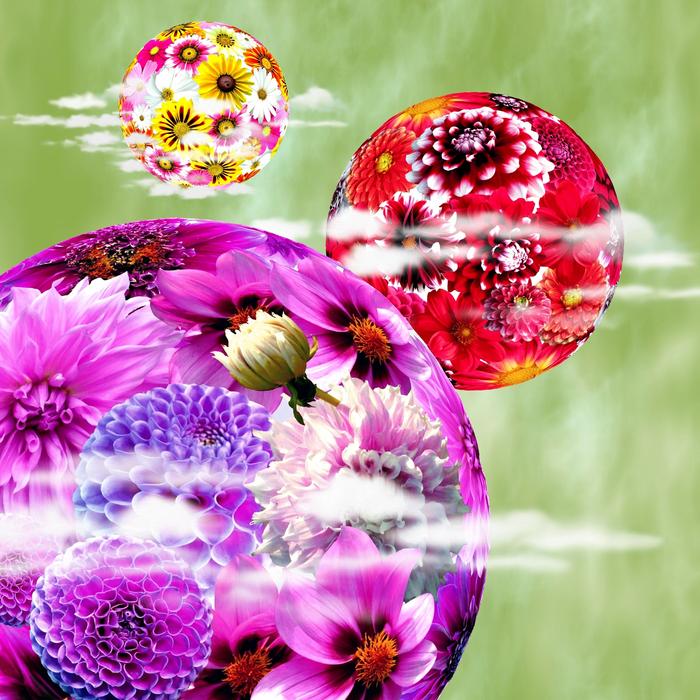 flowers in balloons as a fantasy