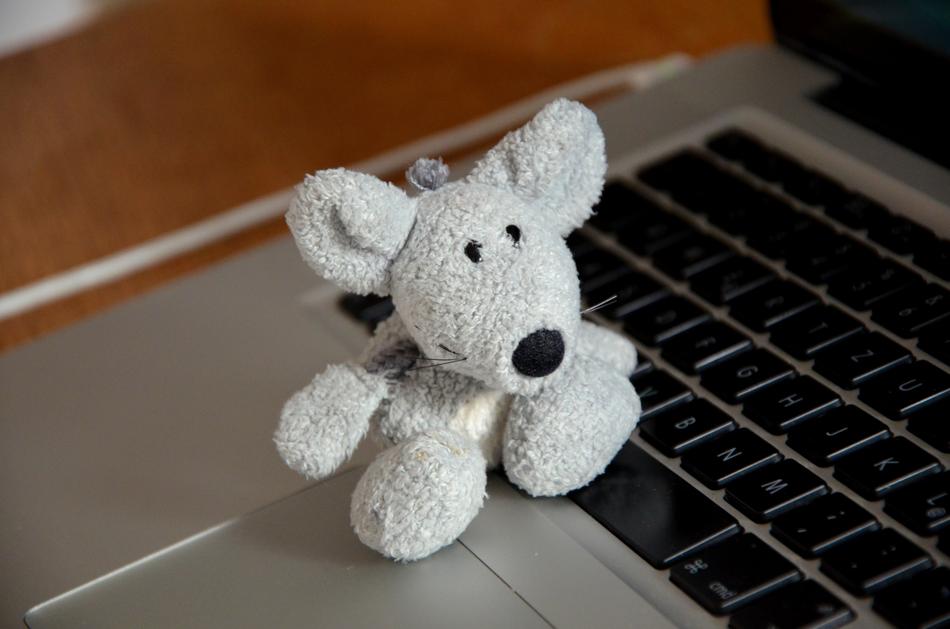 Cute and beautiful soft toy of mouse, on the keyboard of the laptop