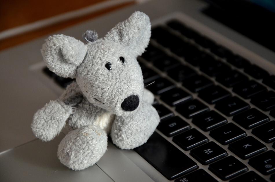 soft toy on a computer keyboard