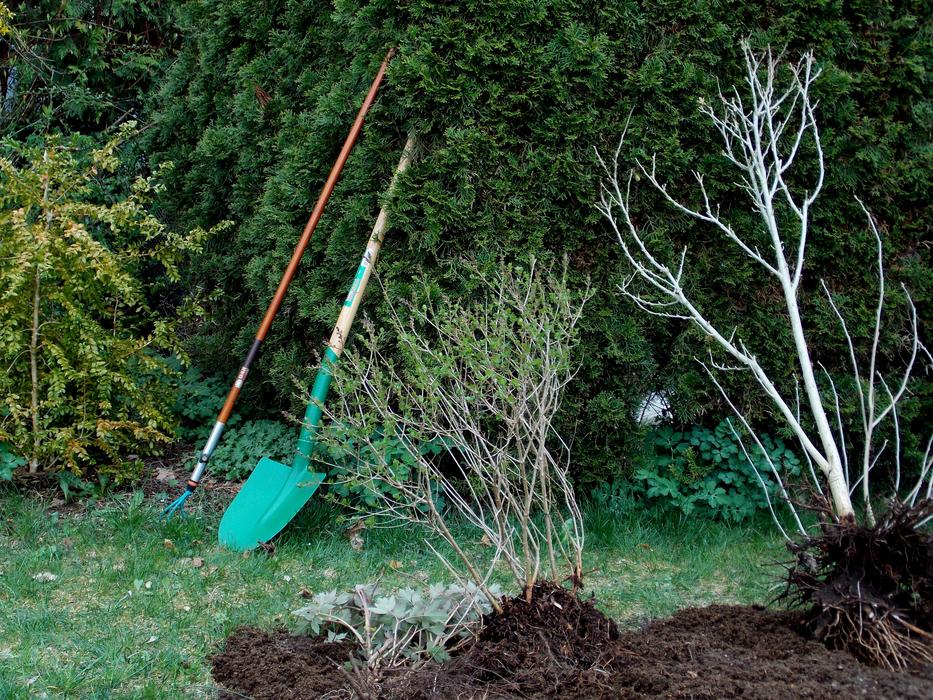 garden tools near bushes at night