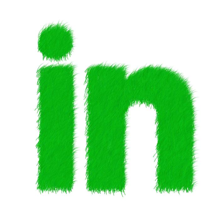in on white background