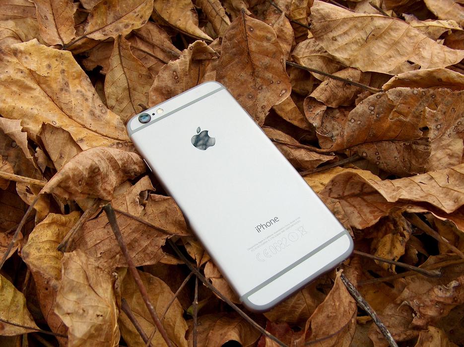 Iphone and Autumn leaves