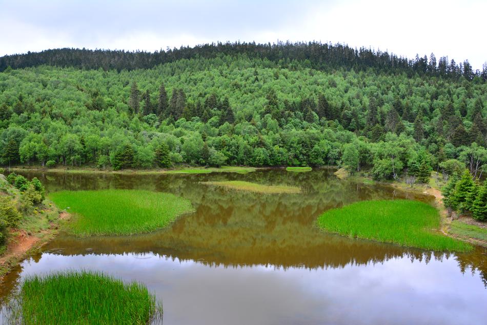 Scenery Shangri-LaS Pudacuo lake