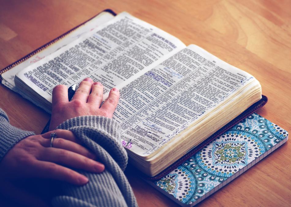 hands on bible