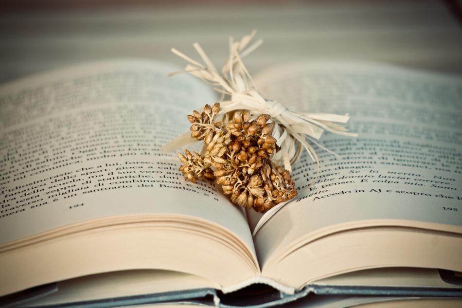 Book and Flowers Dried