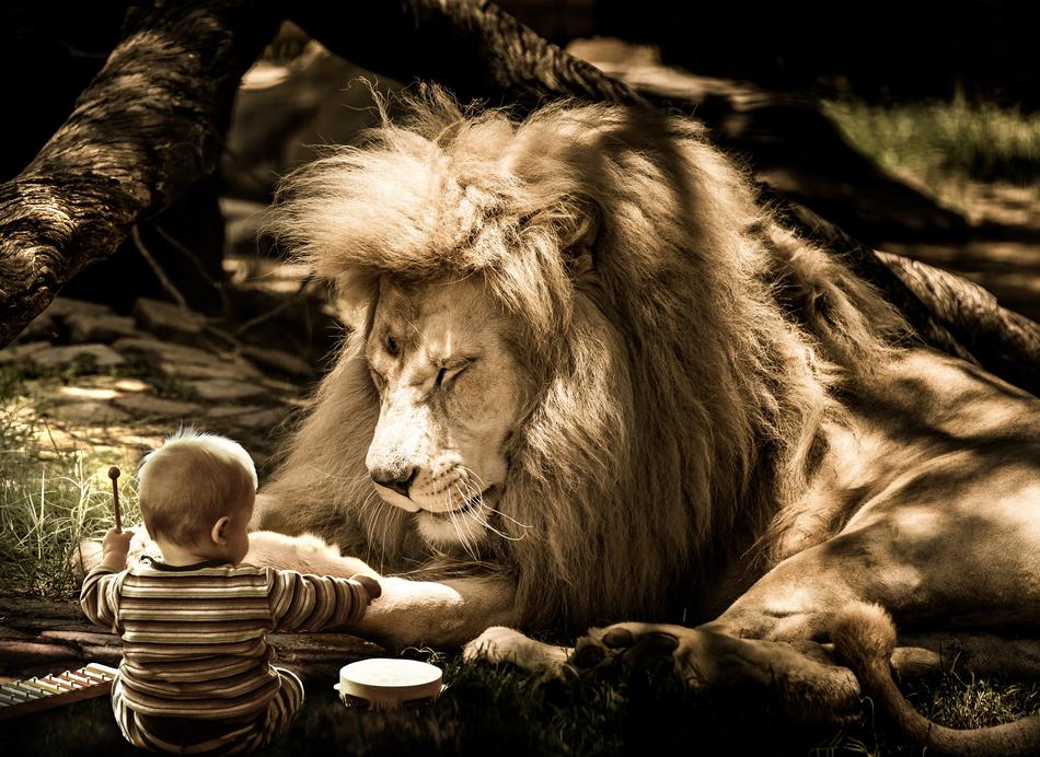 lion and boy