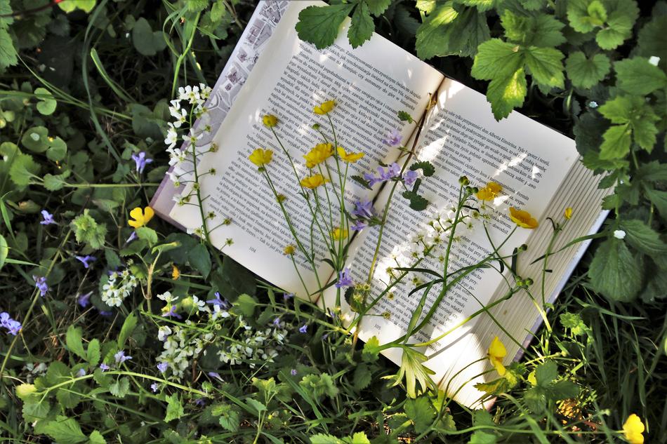 Reading and Plant Nature