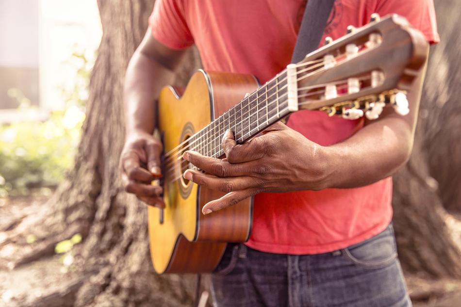 Guitar Music forest