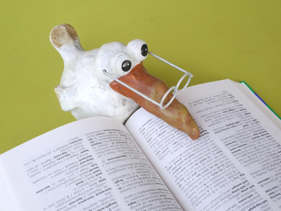clay bird and textBook