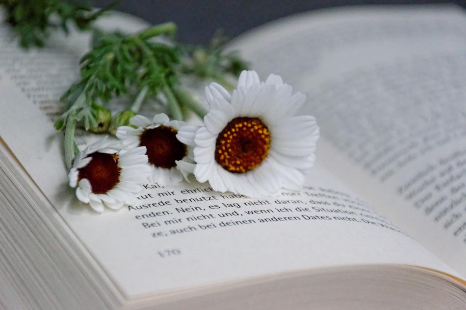 Book and Flower