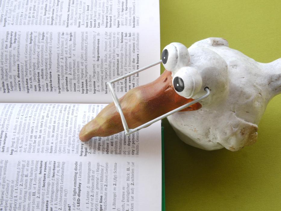 dictionary and funny clay bird