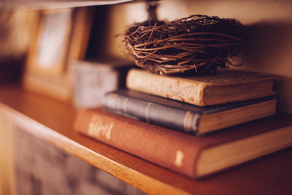 bird's nest on stack of books on shelf