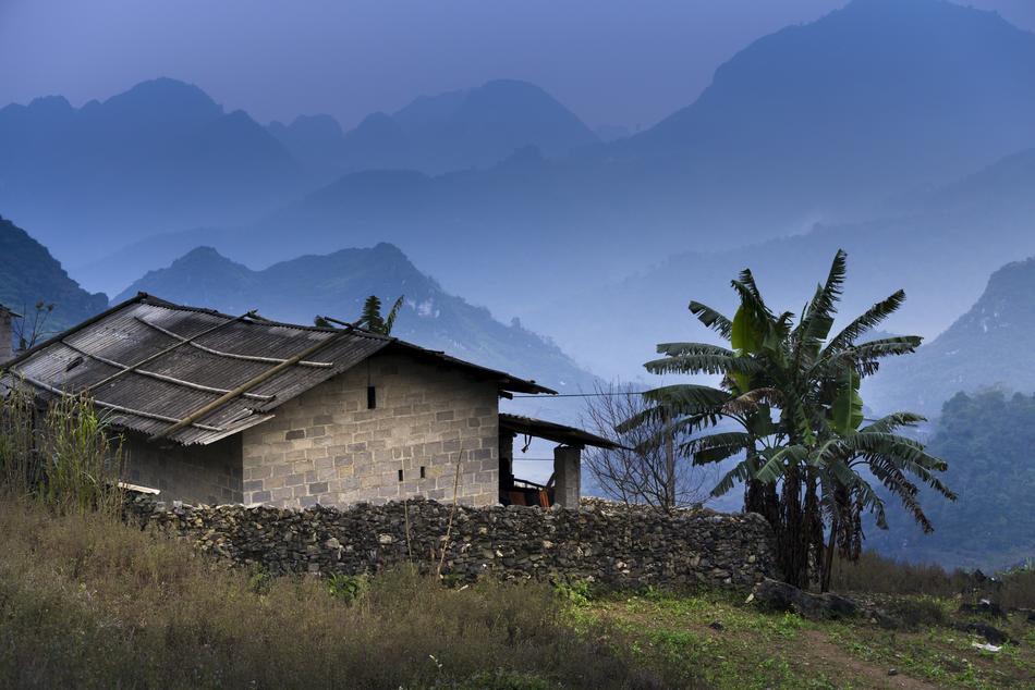 Vietnam wod home and tree