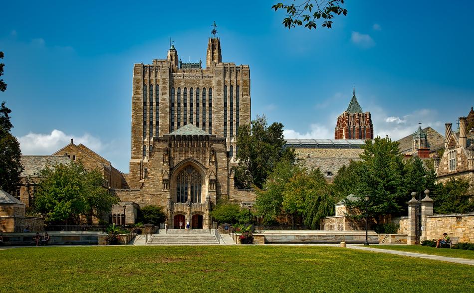 Beautiful plants and green grass near the Yale University
