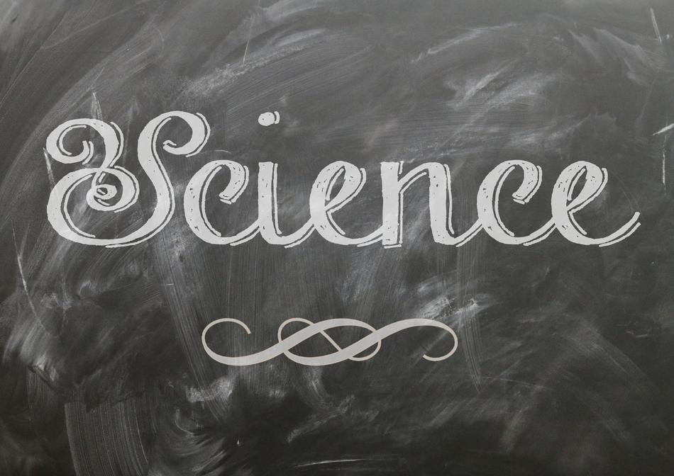 science natural blackboard drawing