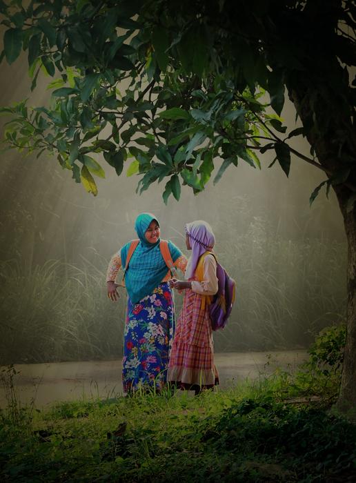 Older children, returning from the school, in light, among the plants