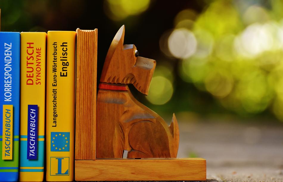 wood Dog and Books