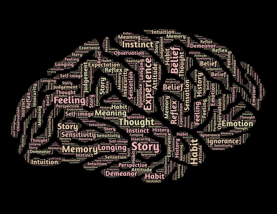 image of a human brain with inscriptions
