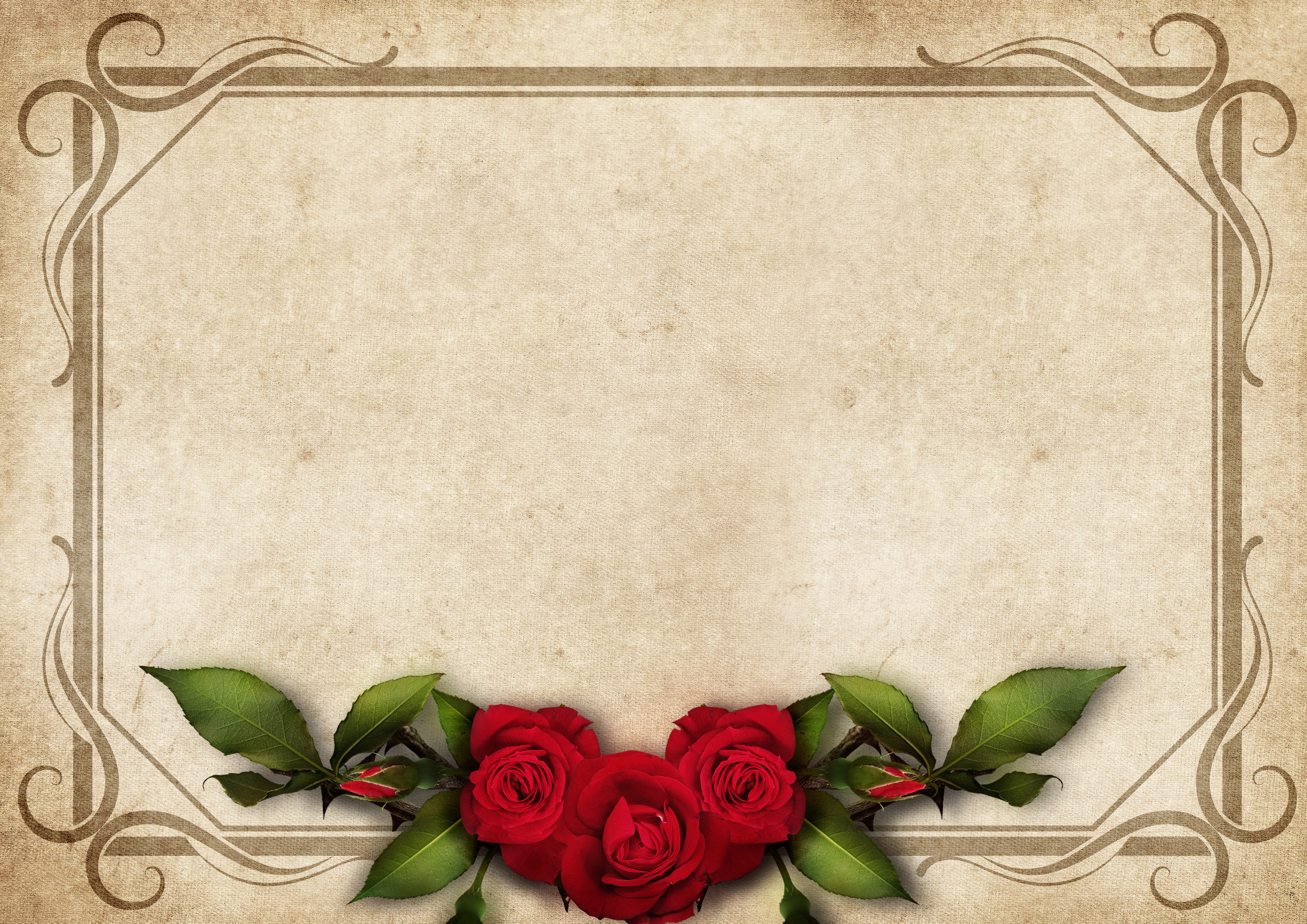 Фон для поздравления февраль. Открытка пустая. Рамка розы. Красивые обрамления для открыток. Фон для поздравления.