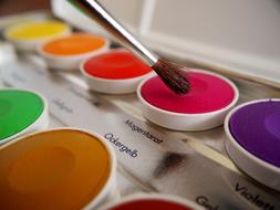 watercolor school set and brush