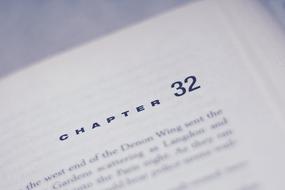 chapter 32, Book page, detail, macro
